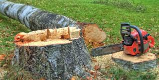 Best Firewood Processing and Delivery  in Bellmore, NY